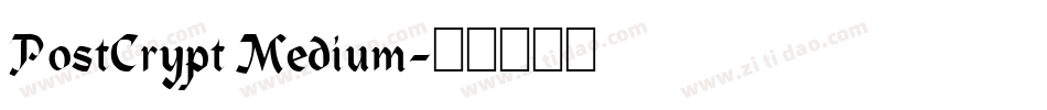 PostCrypt Medium字体转换